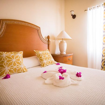 Connie'S Comfort Suites セントジョンズ エクステリア 写真