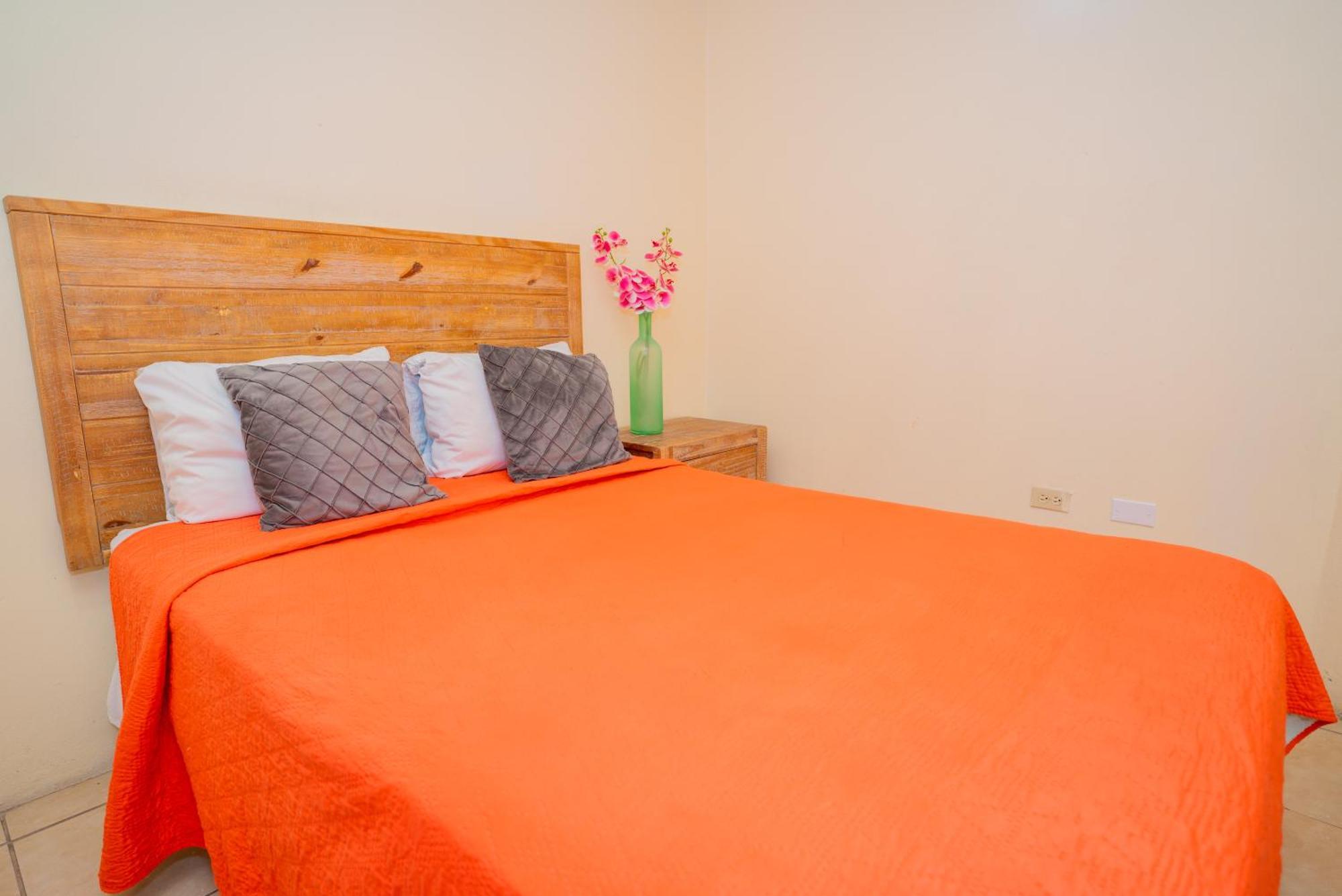 Connie'S Comfort Suites セントジョンズ エクステリア 写真
