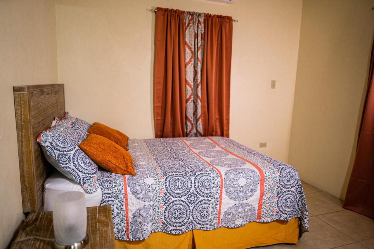 Connie'S Comfort Suites セントジョンズ エクステリア 写真