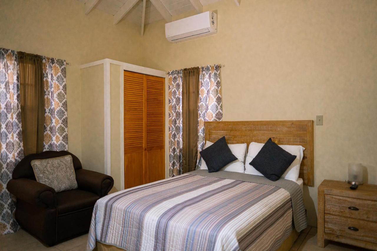 Connie'S Comfort Suites セントジョンズ エクステリア 写真