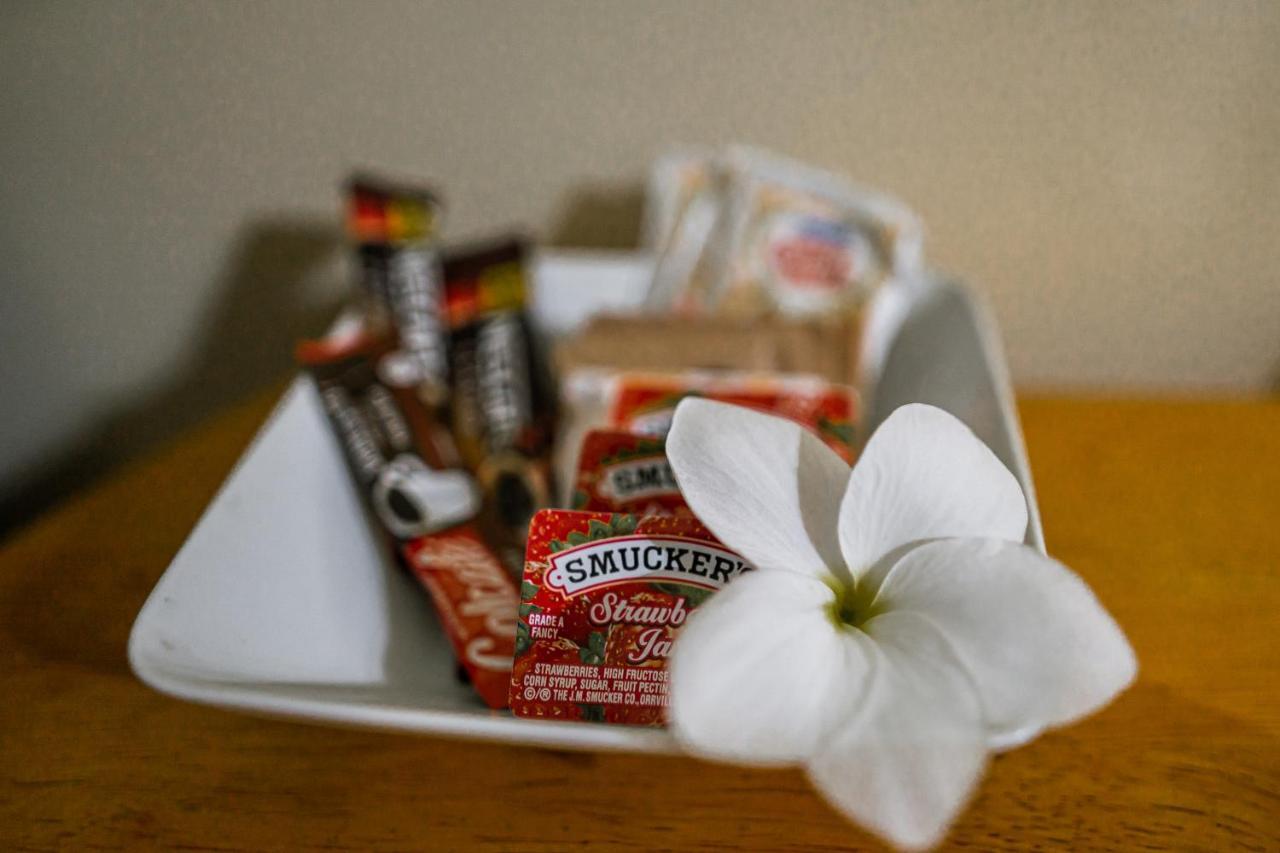 Connie'S Comfort Suites セントジョンズ エクステリア 写真